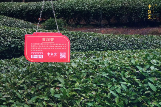 云图片
